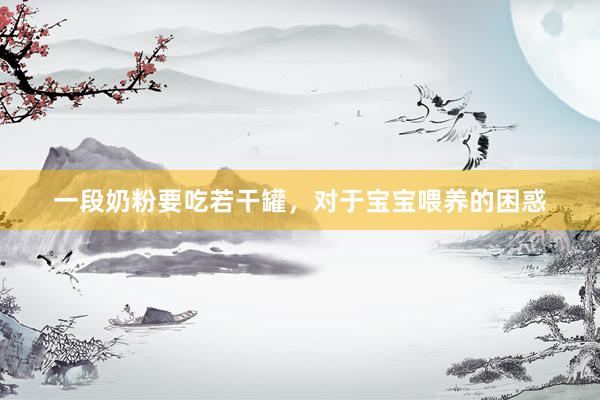 一段奶粉要吃若干罐，对于宝宝喂养的困惑